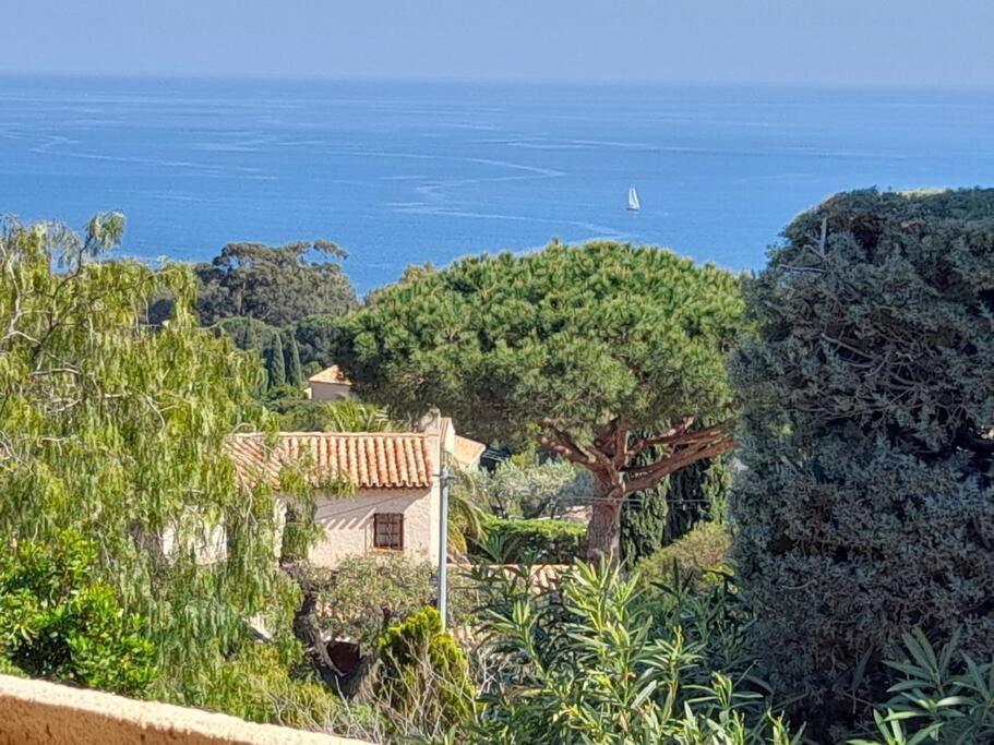 4-Star Private Villa With Heated Pool And Panoramic Sea View At Gulf De Saint Tropez Кавалер-сюр-Мер Екстер'єр фото